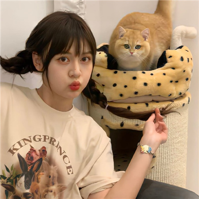 吐鲁番伴游女生星晓莉的资料